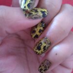 221751_10150182939011462_709071461_6734374_7825337_n