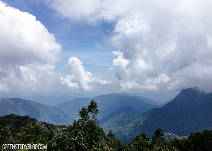 Mount Gunung Brinchang - Cameron Highland