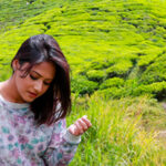 cropped-Cameron-Highland-Agro-Tourism13.jpg